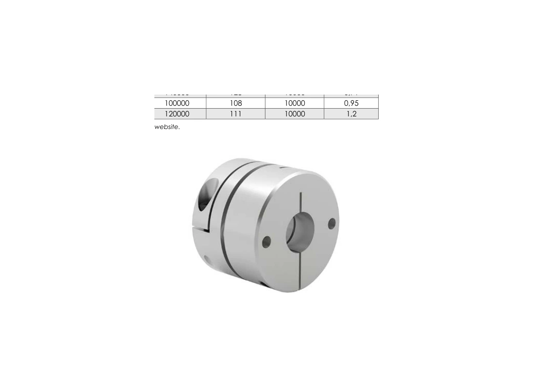 RINGSPANN DCS 010
