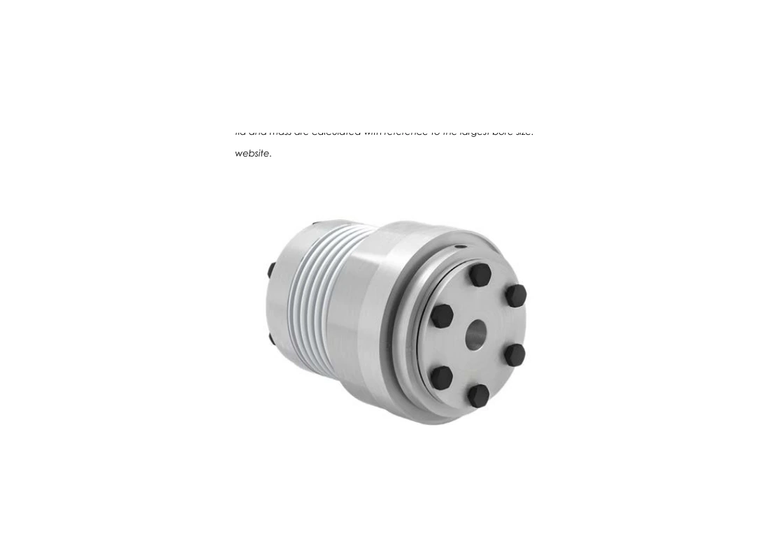 RINGSPANN SWK-BK 500