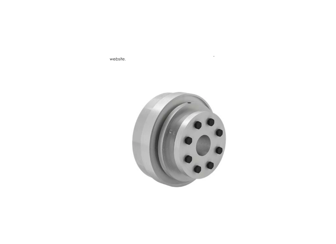 RINGSPANN SWK-CP 300
