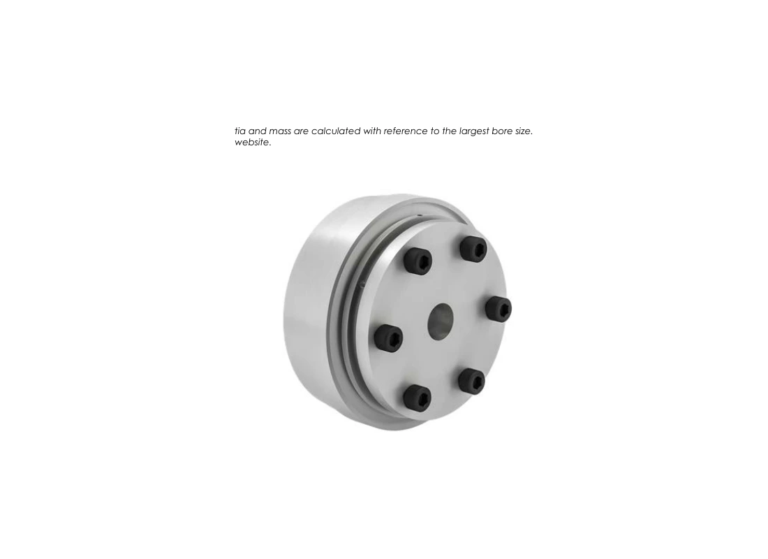 RINGSPANN SWK-G 300