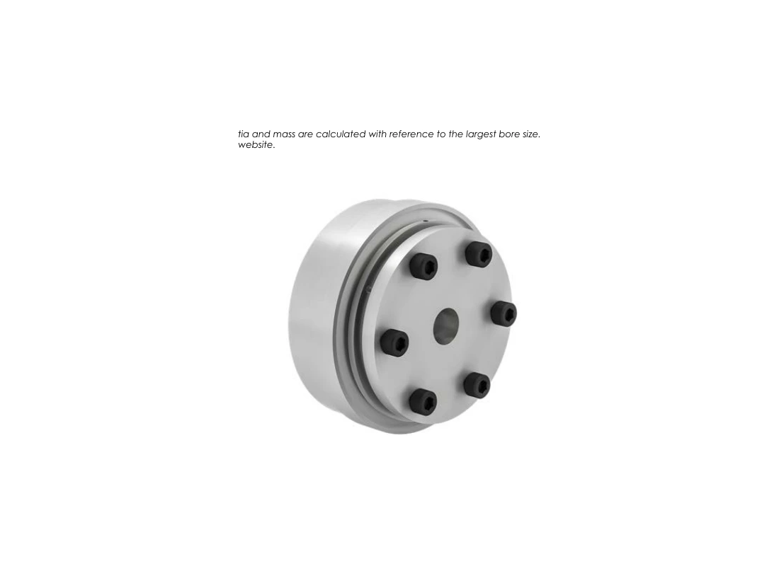 RINGSPANN SWK-L 300