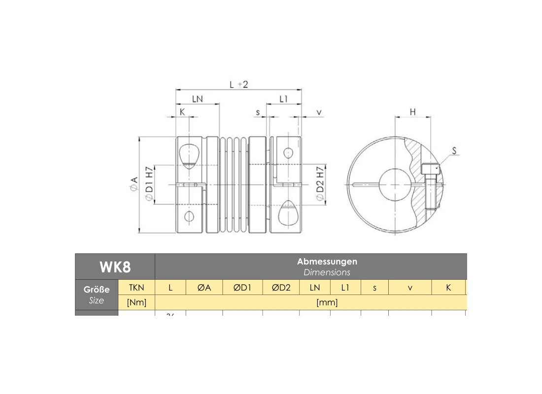 RINGSPANN RDL 0110 DSO