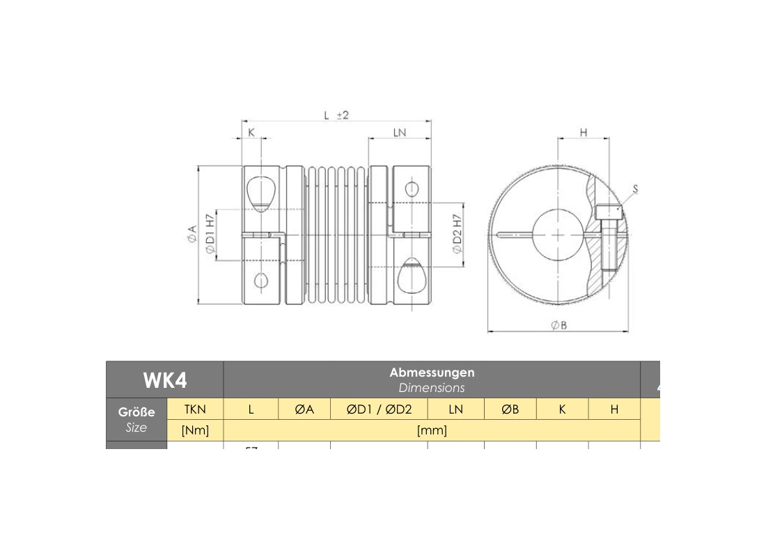 RINGSPANN RDZ 0010 DFO