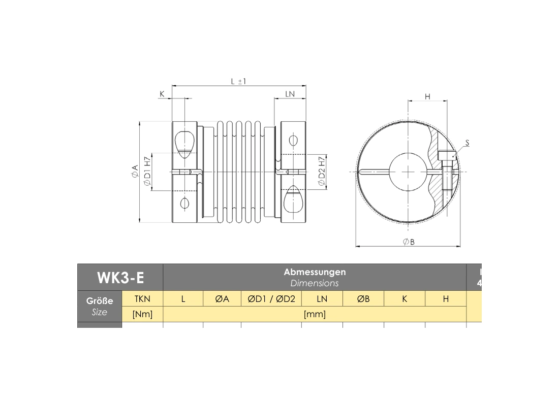 RINGSPANN RDZ 0035 DTO