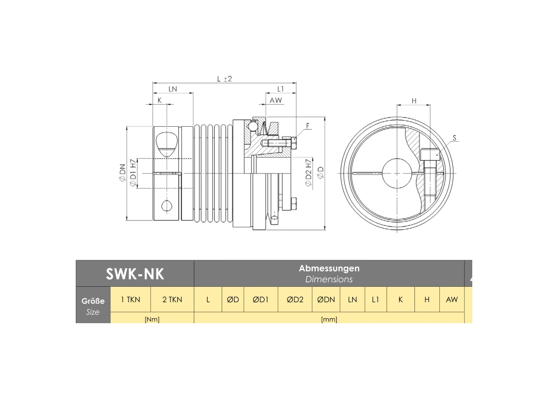 RINGSPANN REK 0060 DGZ