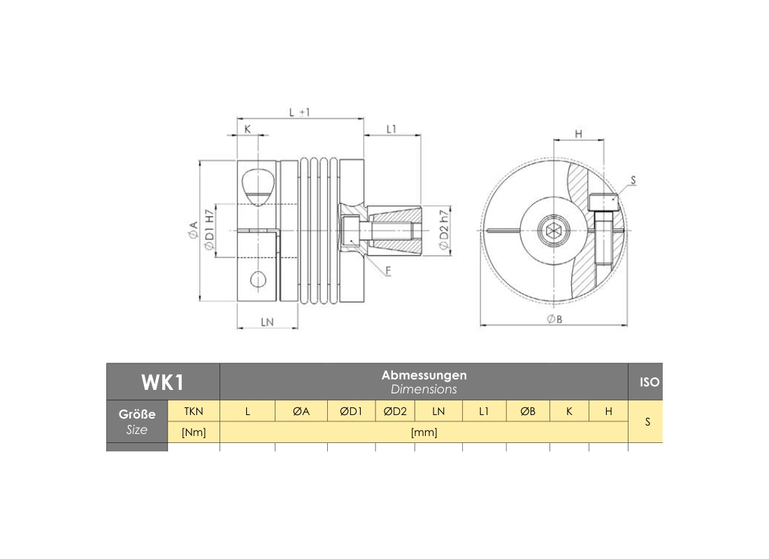 RINGSPANN RFK 0170 TBO