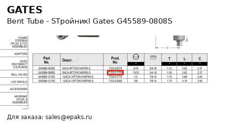Gates G45589-0808S