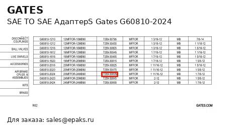 Gates G60810-2024