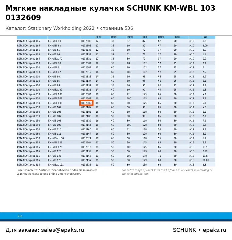 SCHUNK 0132609