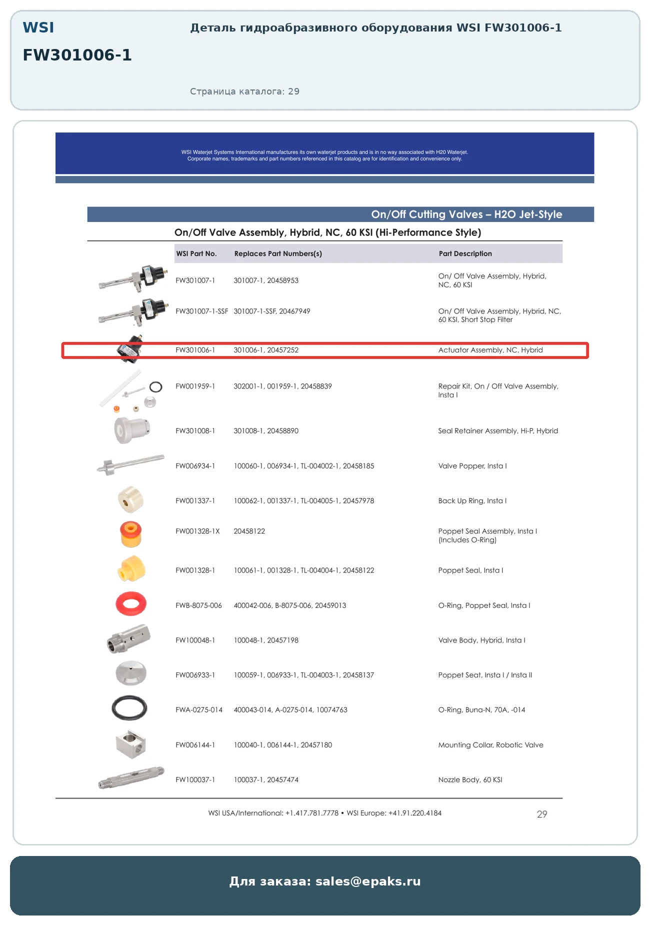WSI FW301006-1